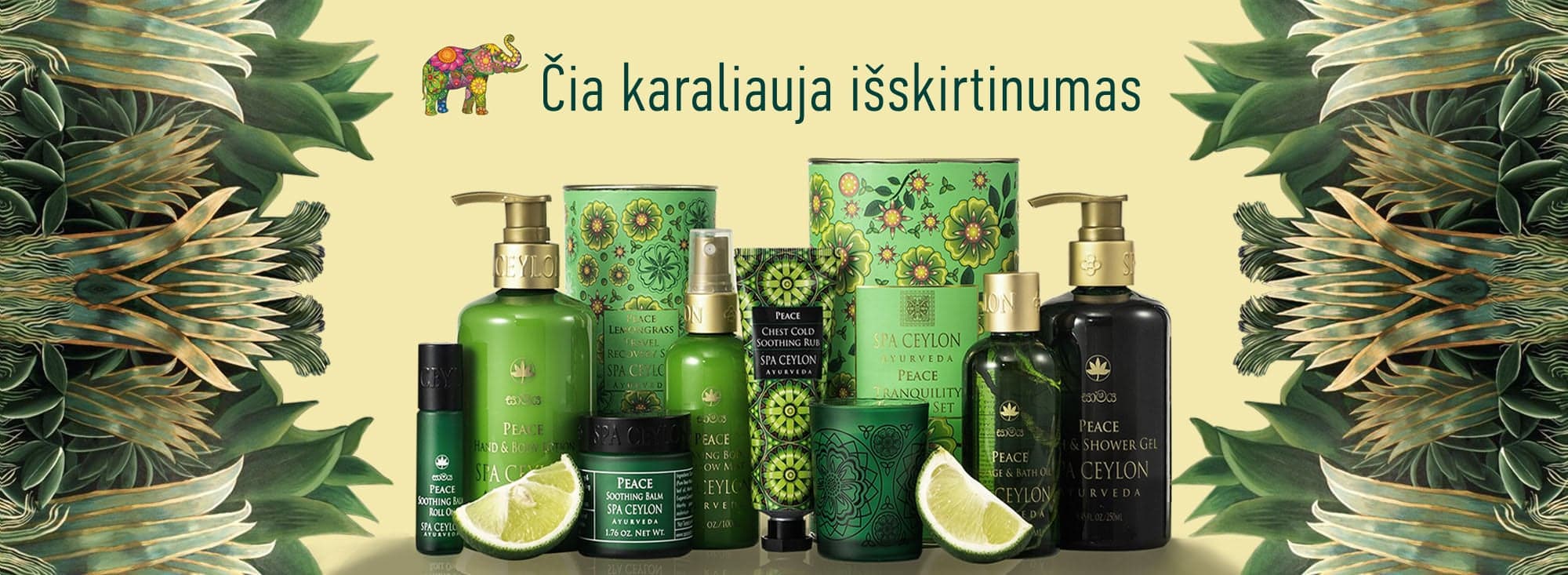 Savireklama 1 Savireklama 1