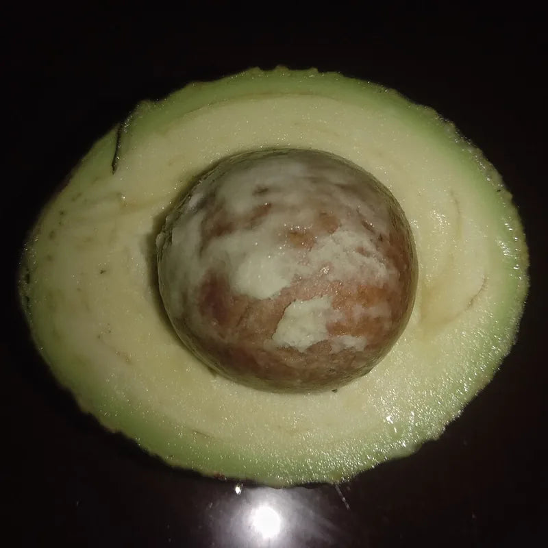 Avokadas