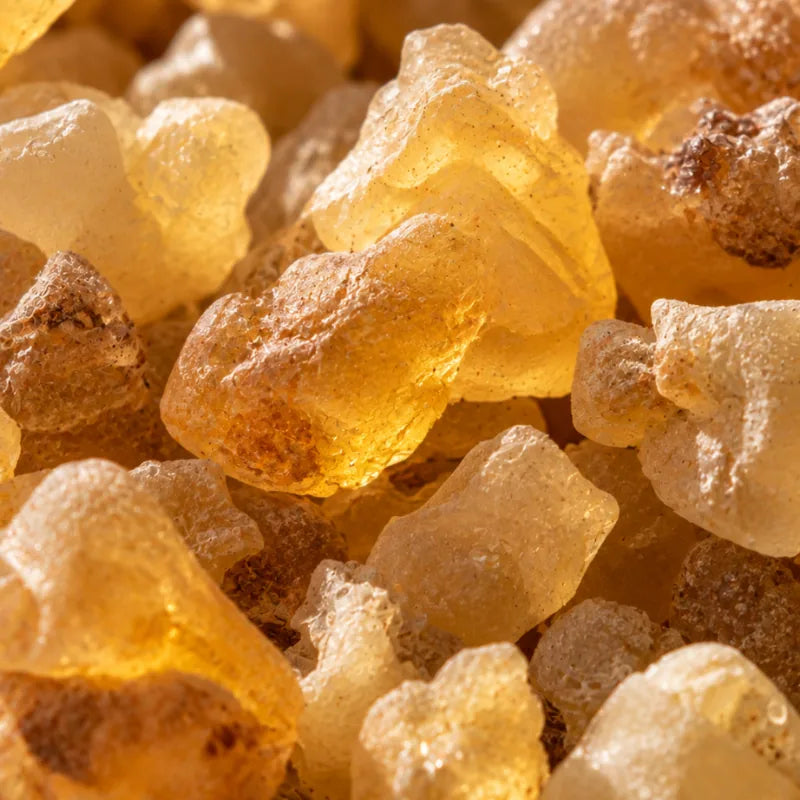 Bosvelija (Frankincense)