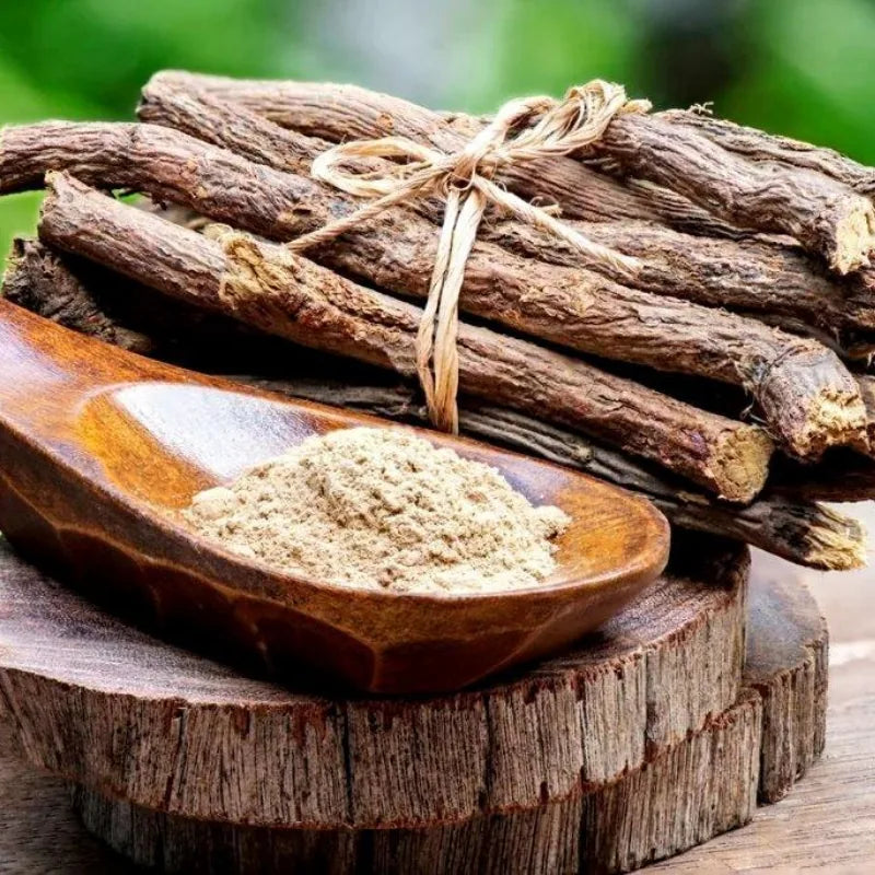 Saldymedis