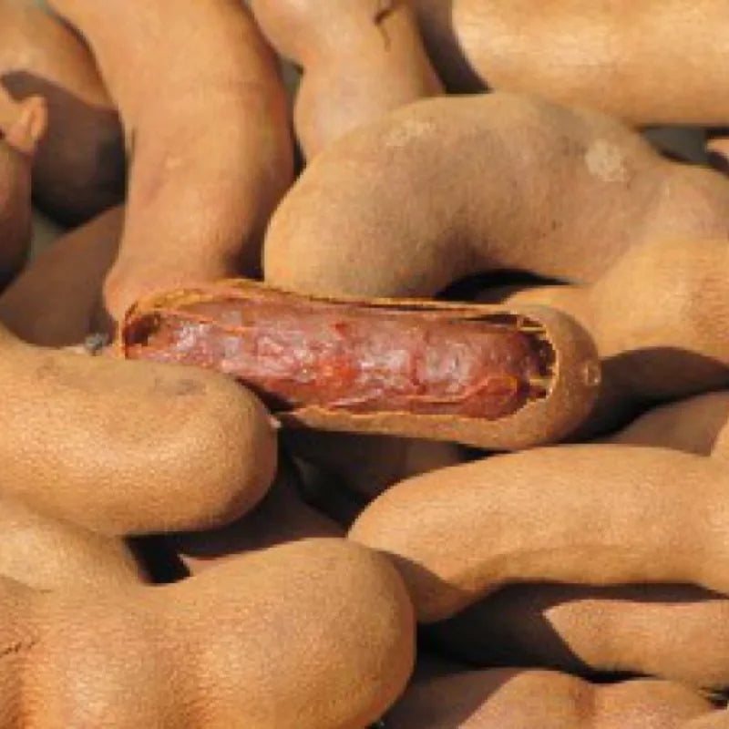 Tamarindas