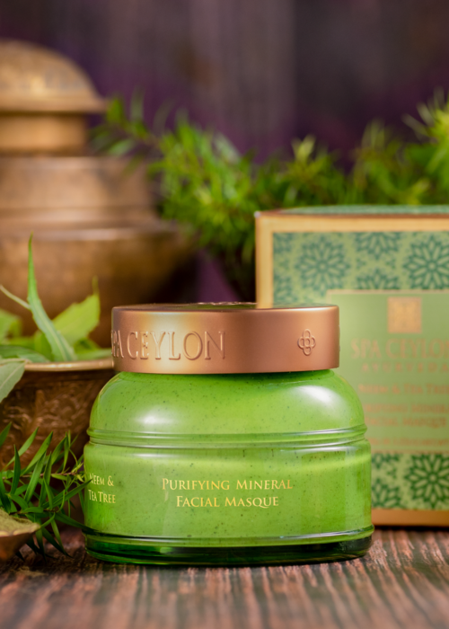 31860_Neem & Tea Tree Purifying Mineral Facial Masque_