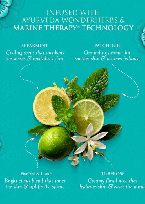 Everything SeaVeda - 1080 X 1350